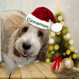 SpringerDoodles at the Beach Custom Christmas Porcelain 2024 Ornament All Doodles All Pets