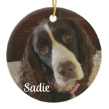 SpringerDoodles at the Beach Custom Christmas Porcelain 2024 Ornament All Doodles All Pets